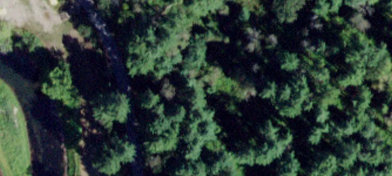 Hankins Rd