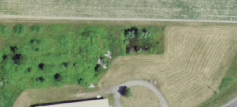 Michigan Rd