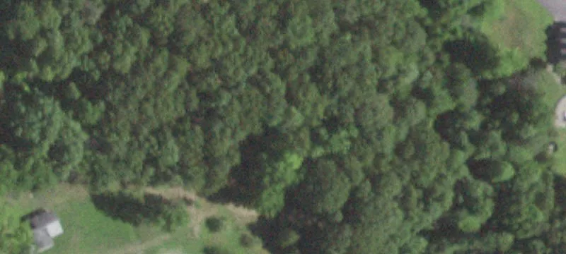 495 Rossway Rd