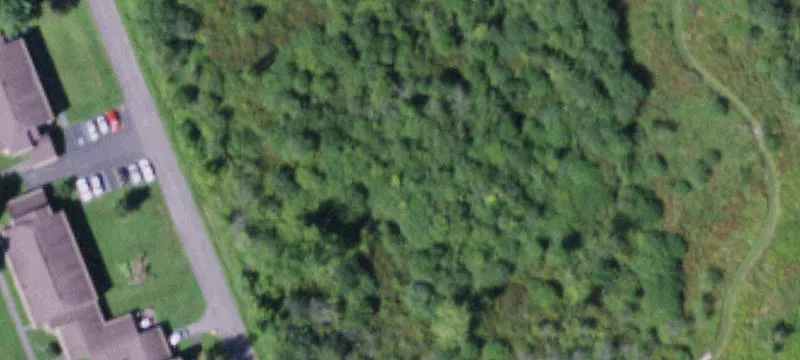 Hamilton, NY 13346
