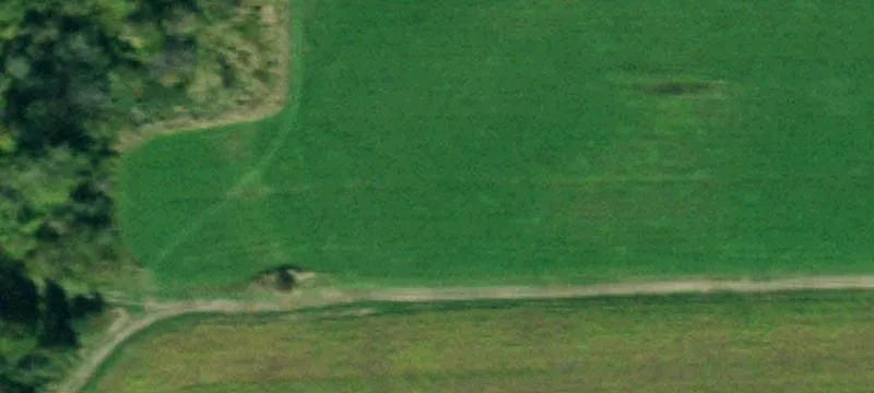 9838 Sisson Hwy