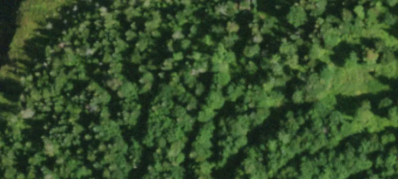 Childwold, NY 12922