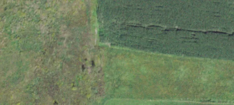 Auburn, NY 13021