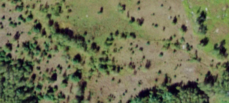 119 Aladdin Rd Trl