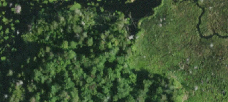 Childwold, NY 12922