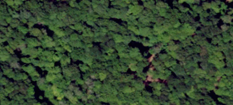 1573 Osceola Rd