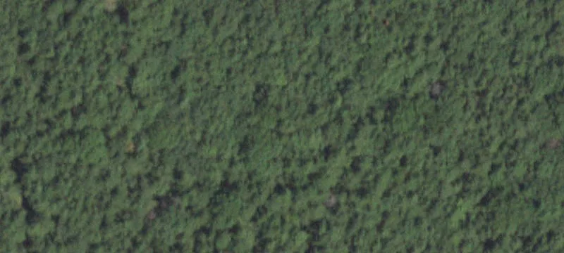 99 Country Rd