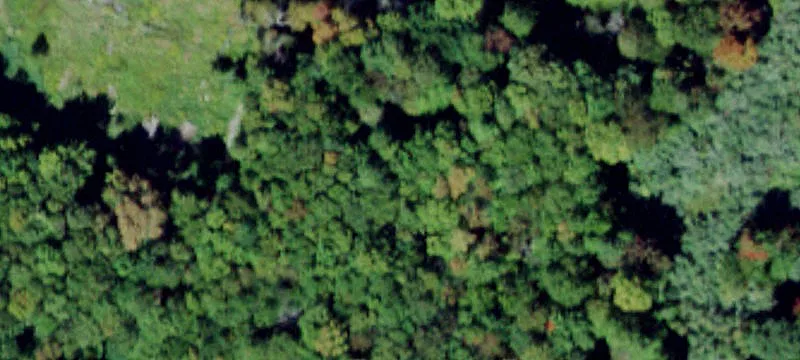 59th Davos Rd