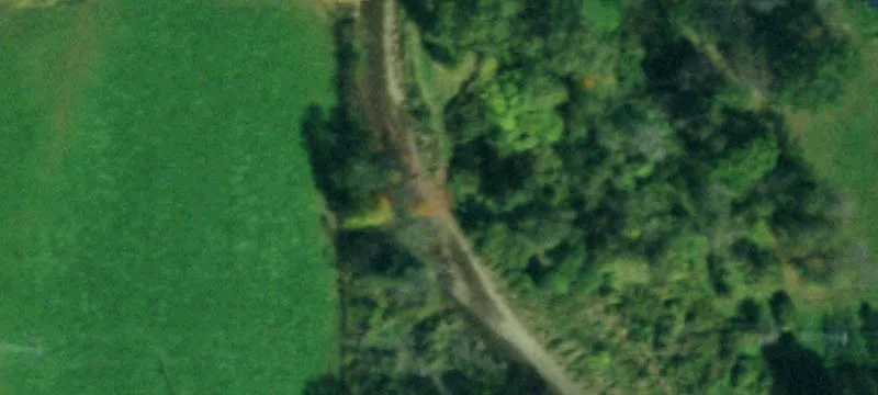 5 Mile Rd