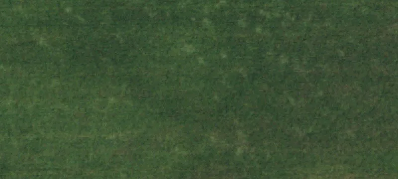Oakfield, NY 14125