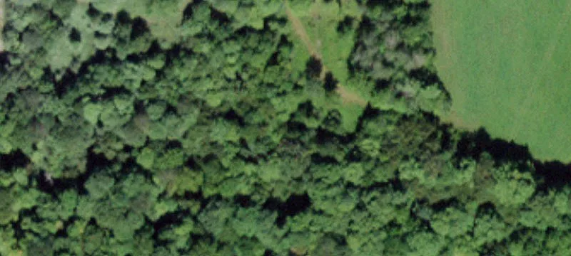Frisbee Rd