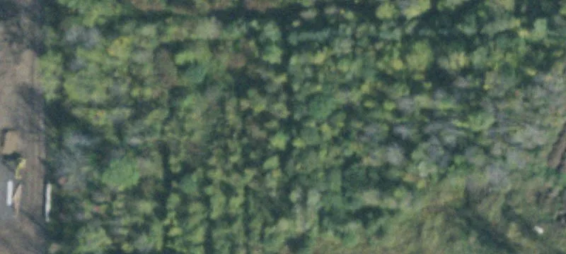 Tebor Rd