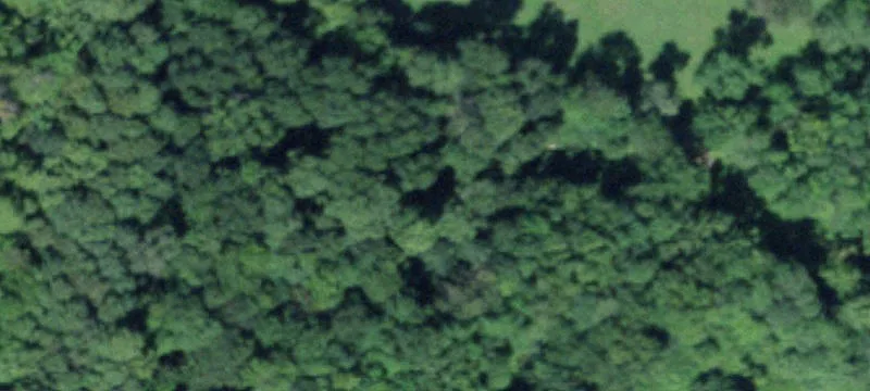 4903 Nys Rt 233