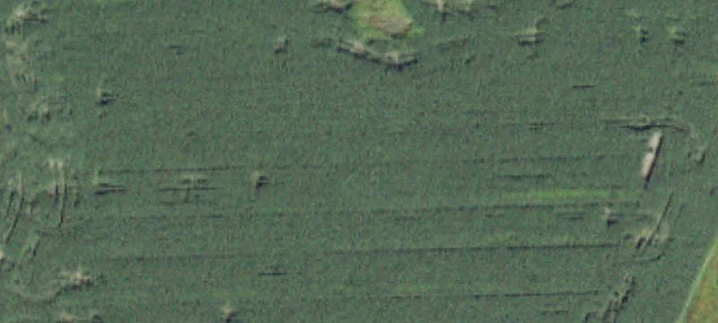 Auburn, NY 13021