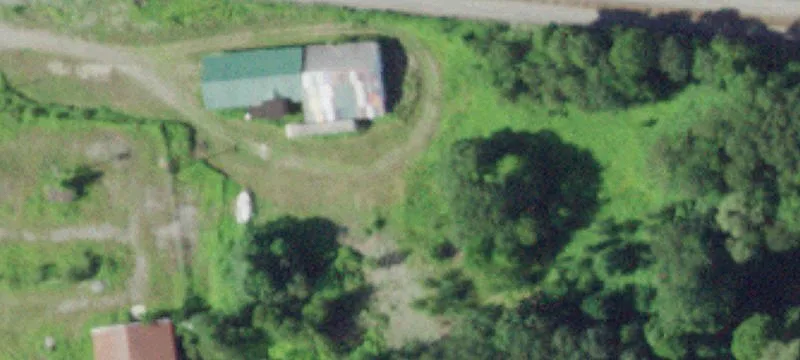50 Rose Ave
