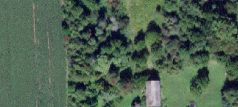 13619 Cotten Rd