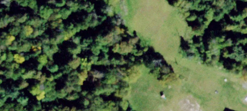 501 Thompson Rd