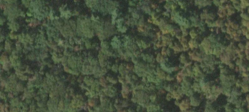 294 Rte 303