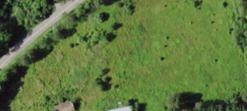 2480 County Hwy 39