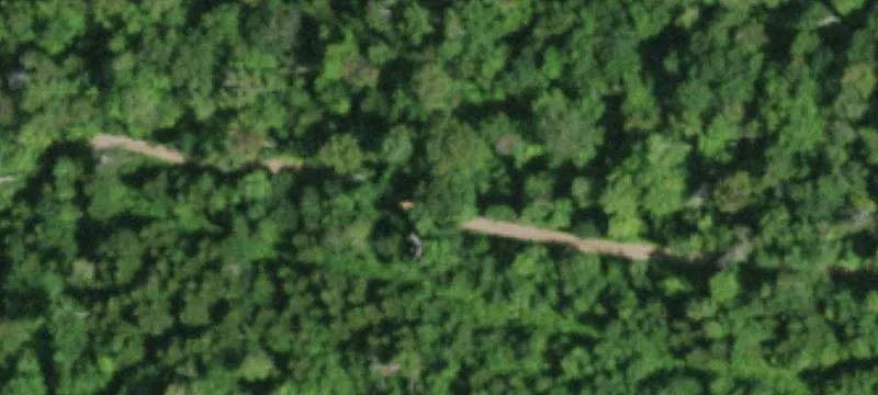 Childwold, NY 12922