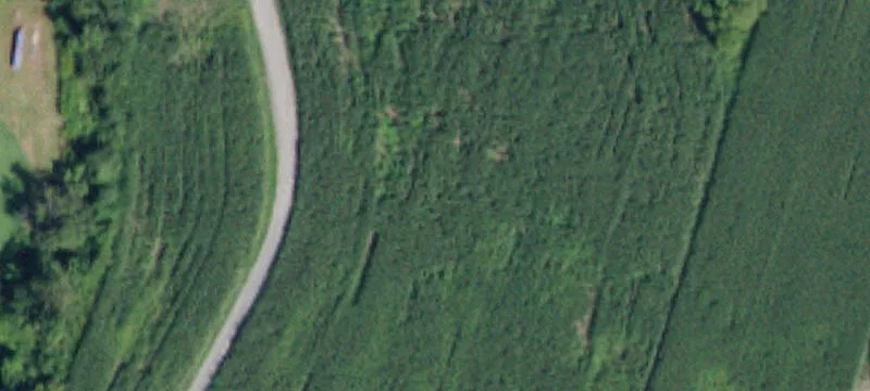 1839 State Rte 67
