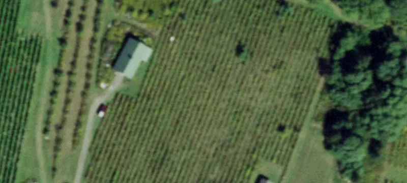Penn Yan, NY 14527