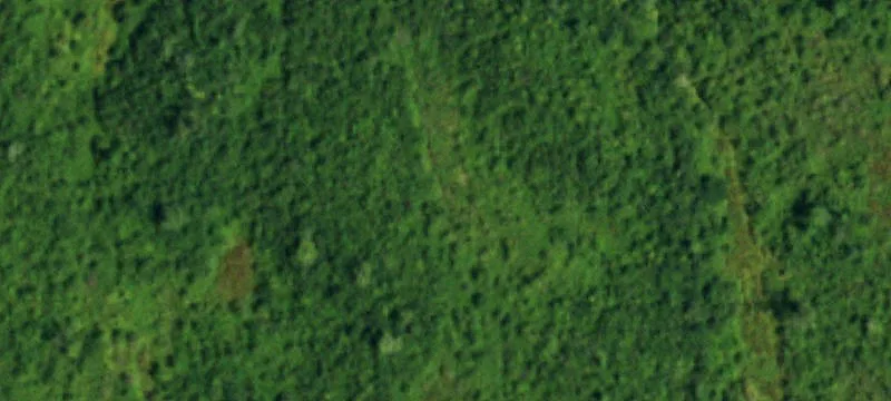 Buttermilk Rd