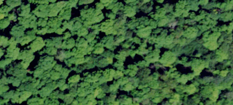 Harrisville, NY 13648