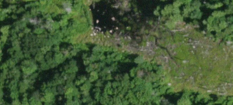 Childwold, NY 12922