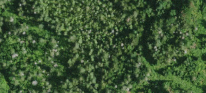 Childwold, NY 12922