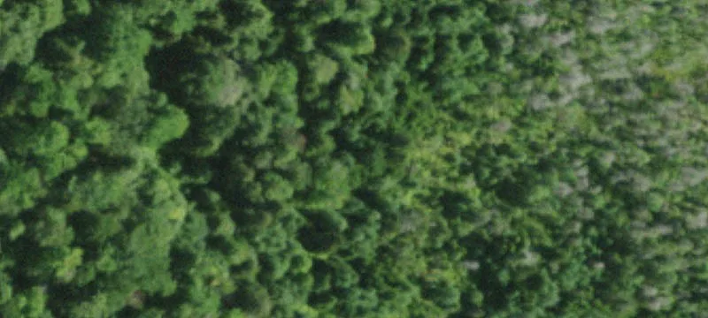 Childwold, NY 12922