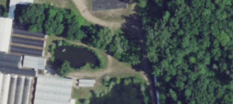 3242 Daansen Rd