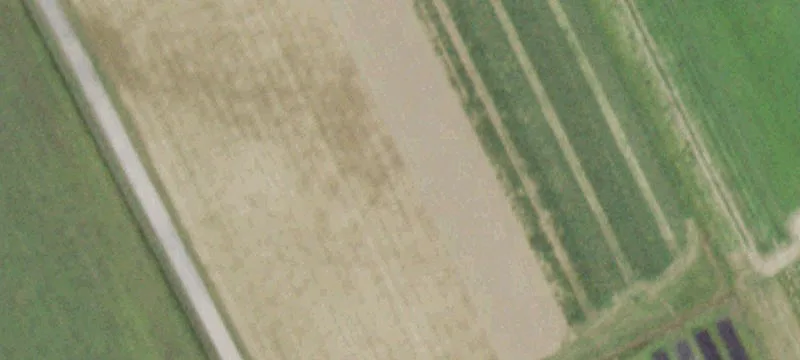 Rte 25