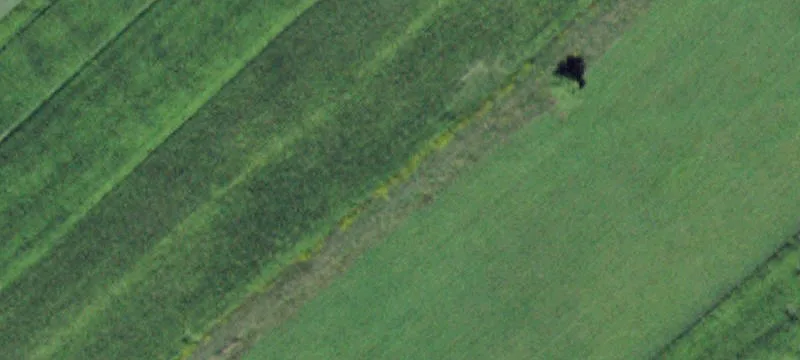 Dundee, NY 14837
