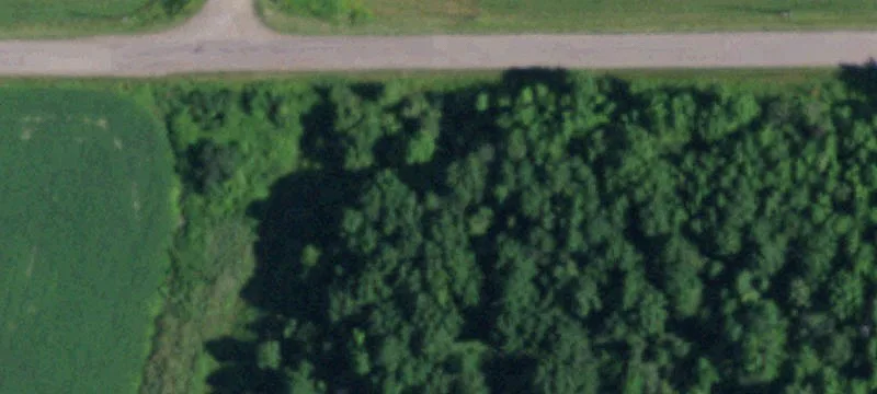 Nunda, NY 14517