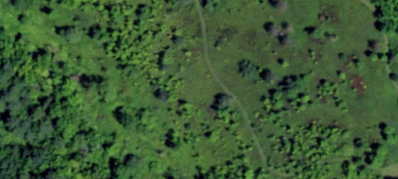 Caneadea, NY 14717