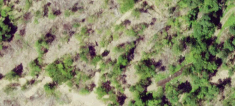 Sand Creek
