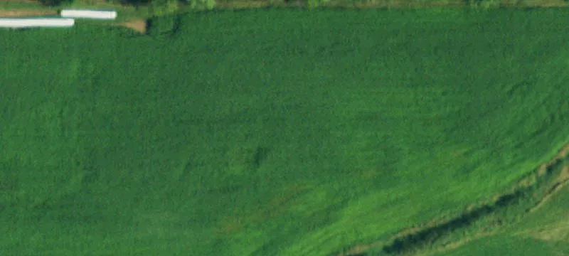 Lyndonville, NY 14098