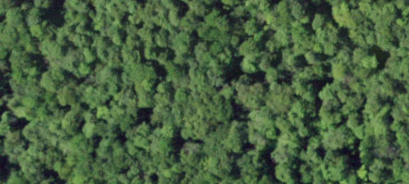Hoffmeister, NY 13353