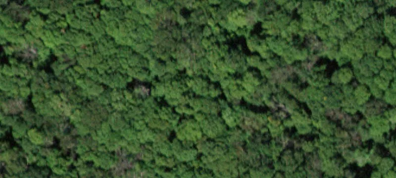 Arkville, NY 12406