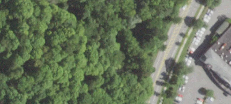 Saw Ml Riv Rd