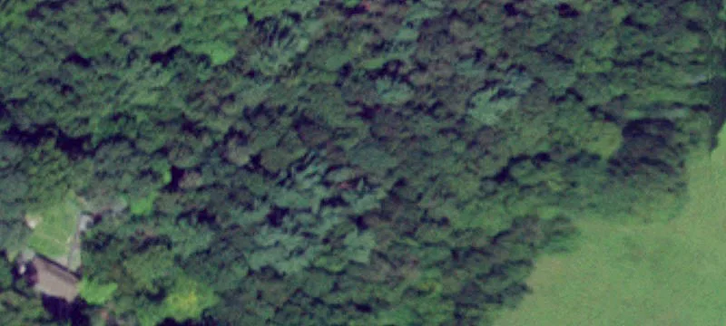 Utica, NY 13501