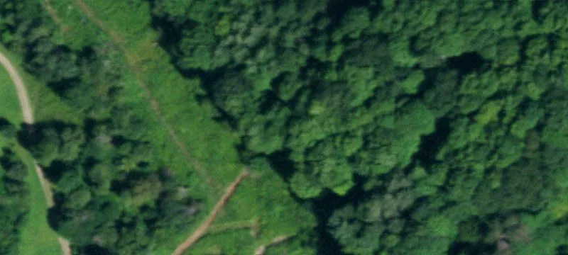 Gerry, NY 14740