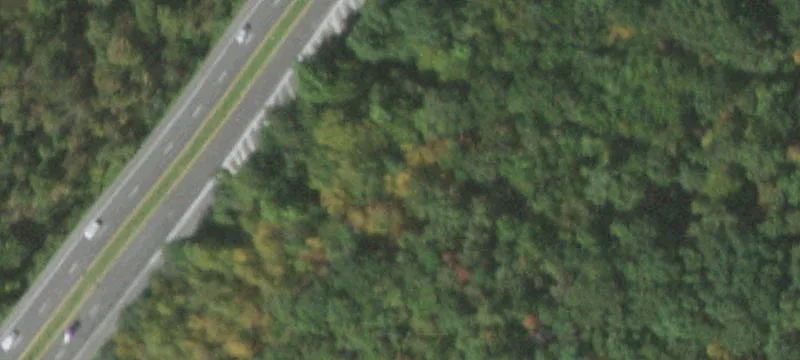 294 Rte 303