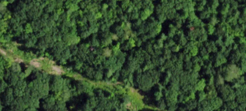 Nys Rte 74