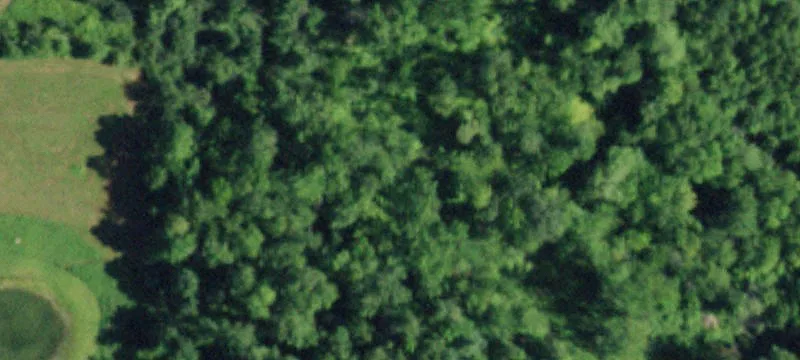 924 State Rte 43