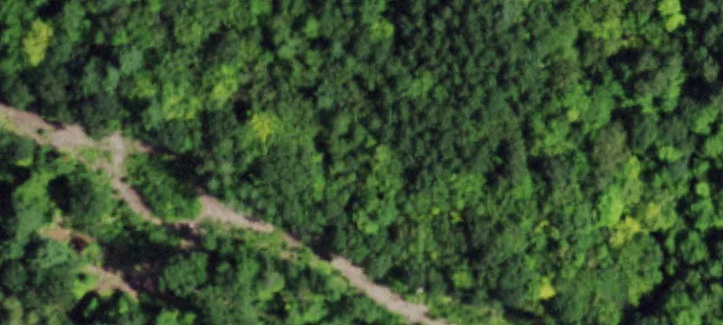 Nys Rte 74