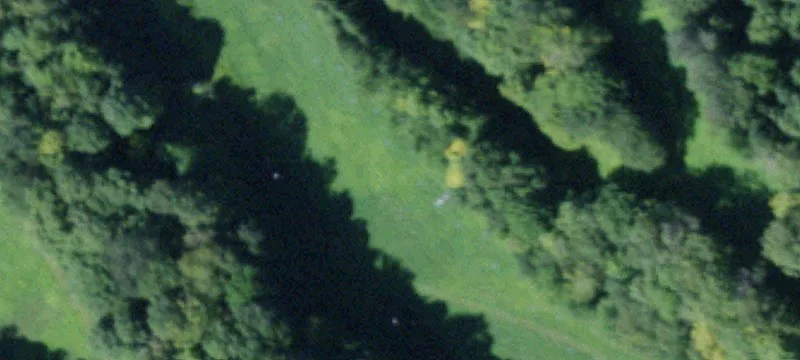 Nys Rt 46