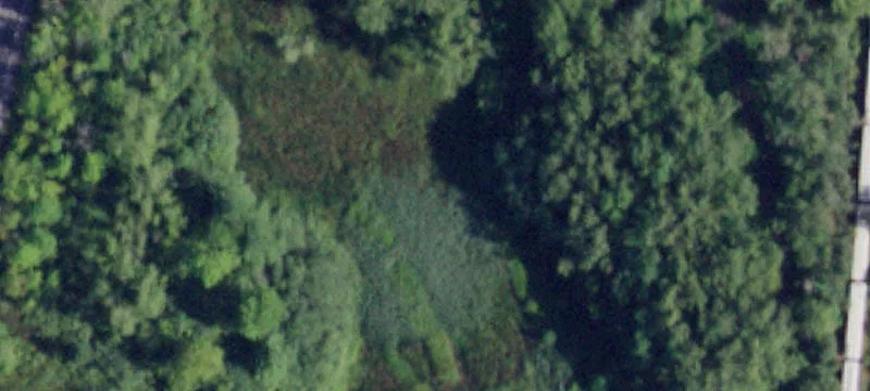Whitehall, NY 12887