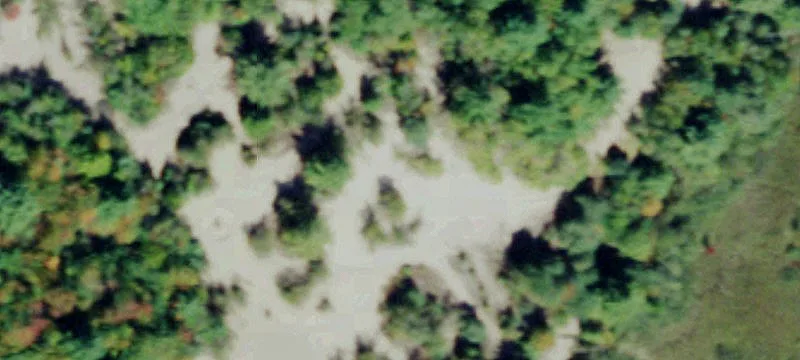 Soft Maple Rd